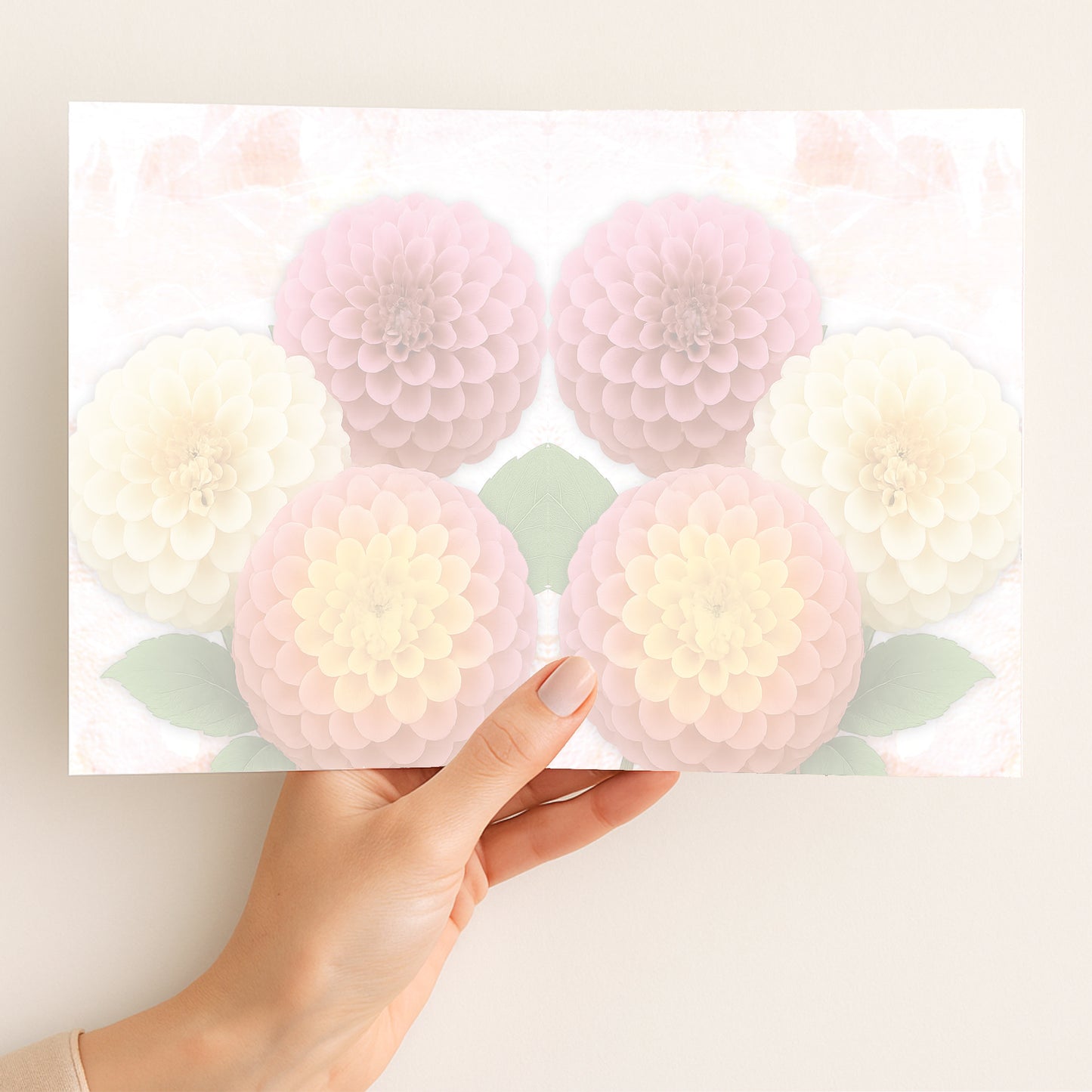 Ball Dahlias