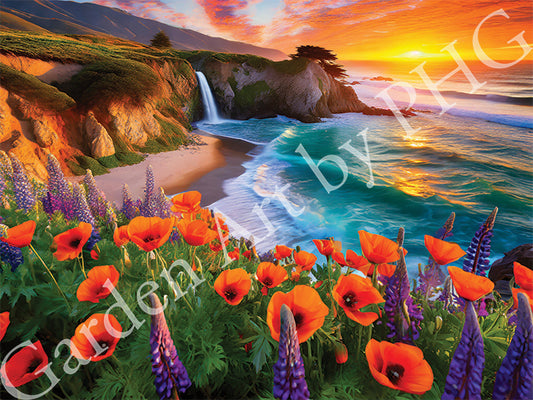 California Coast