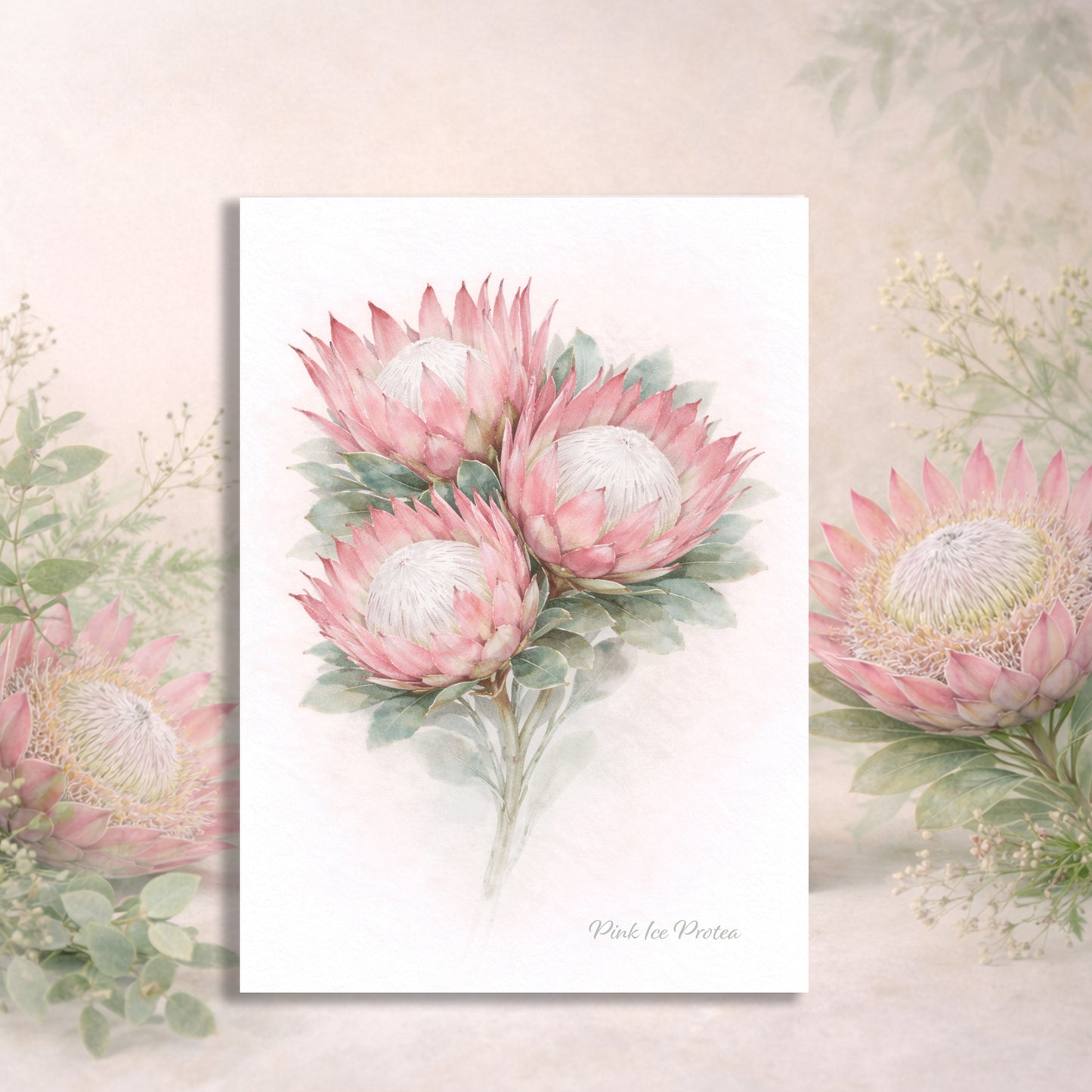 Pink Ice Protea Greeting Card