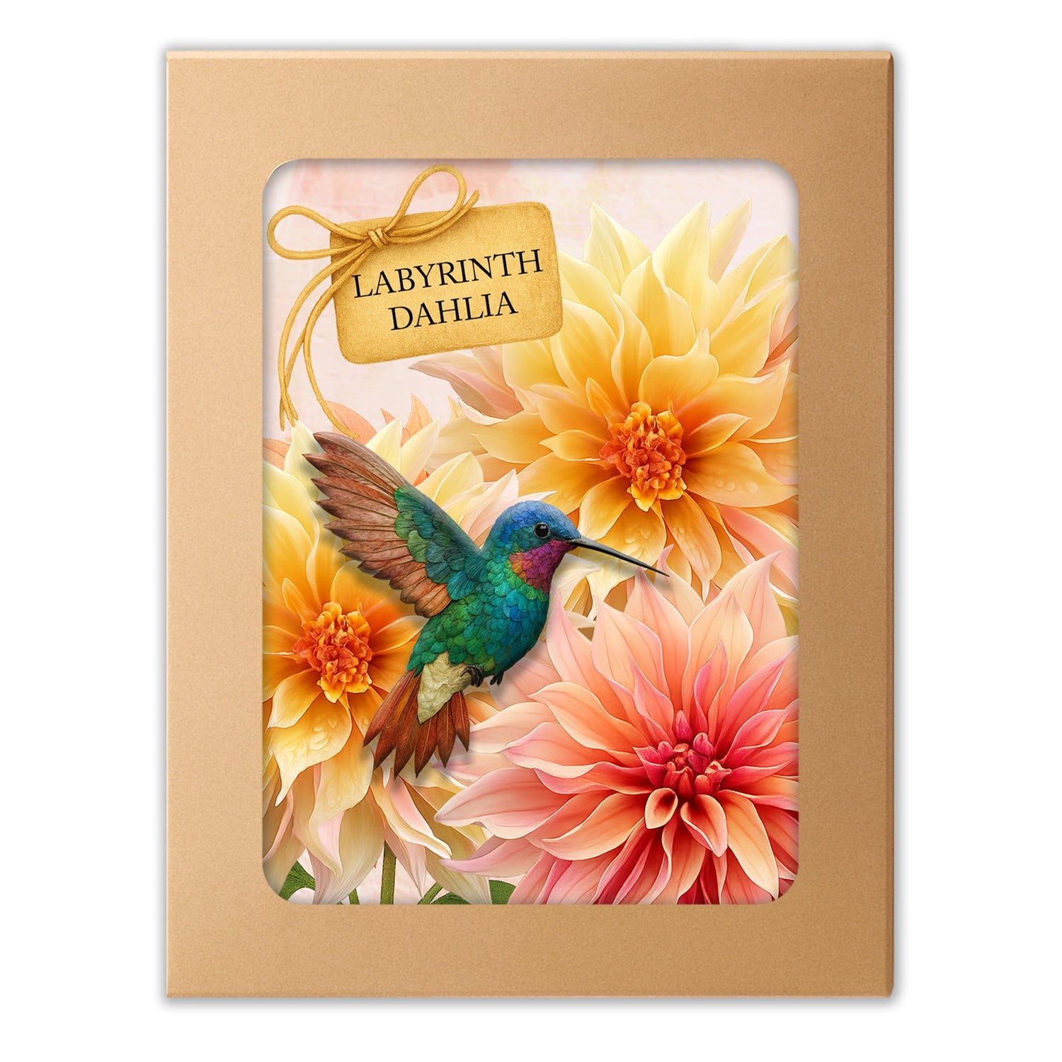 Featured – Home Page