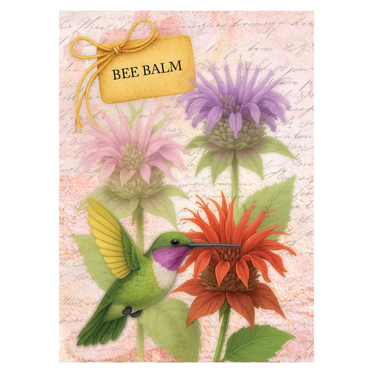 Bee Balm