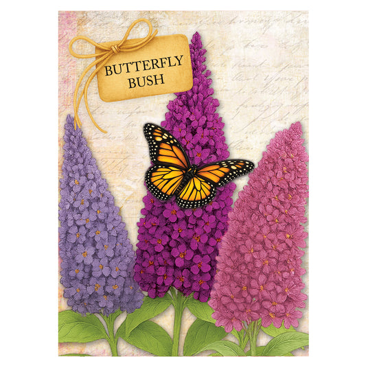 Butterfly Bush