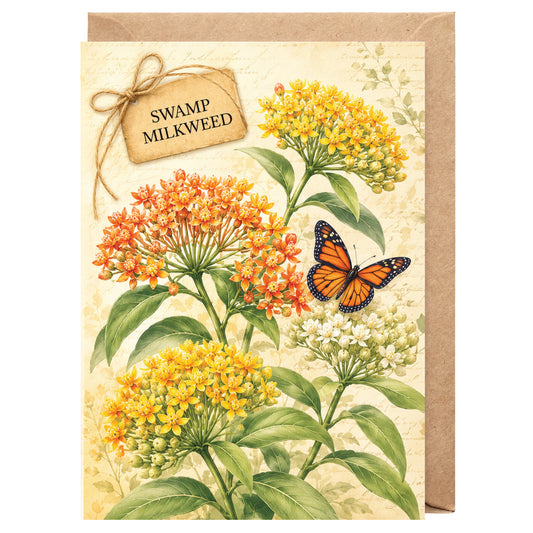 Swamp Milkweed