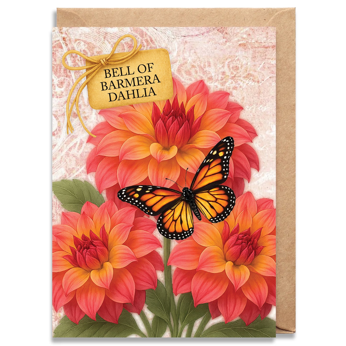 Bell of Barmera Dahlia