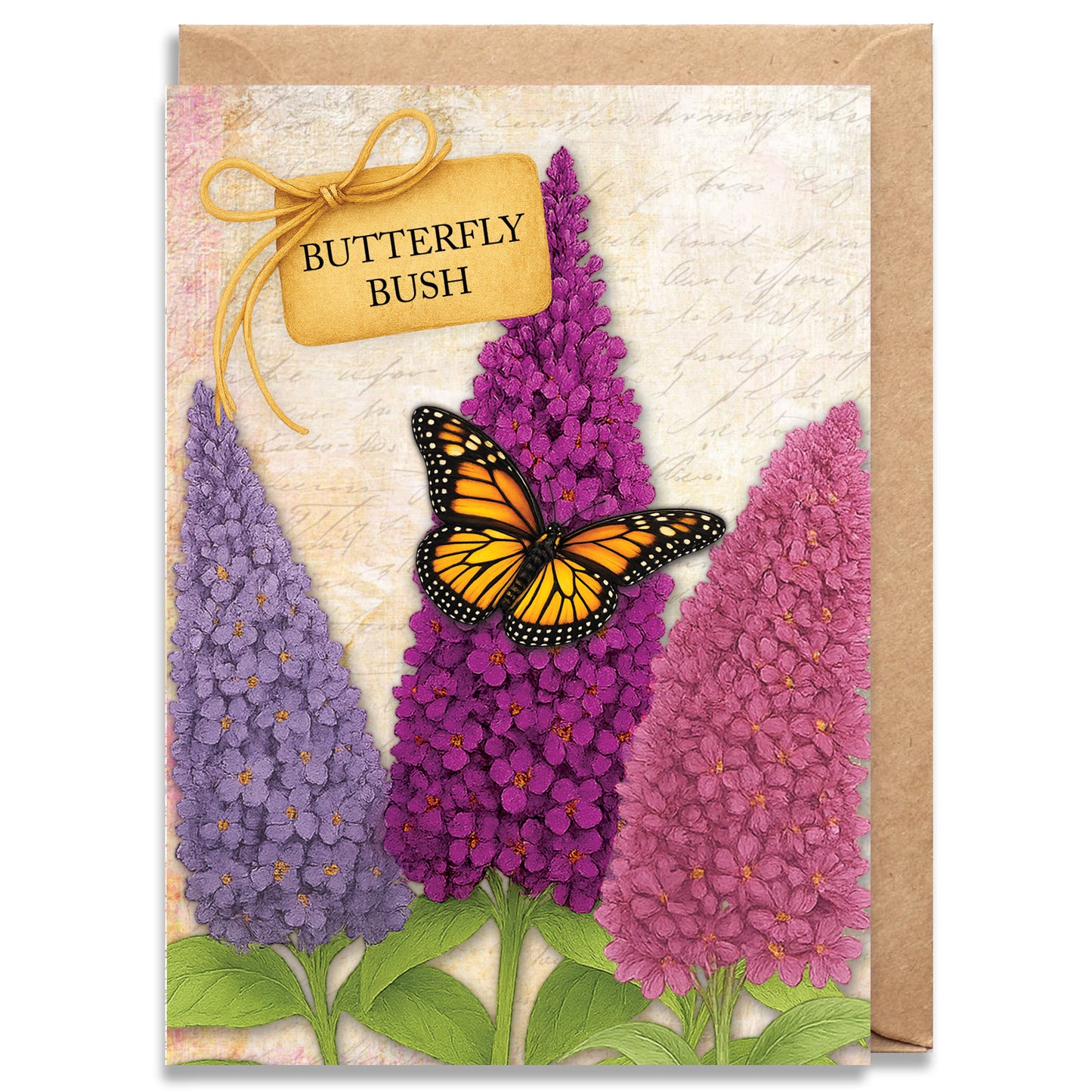 Butterfly Bush