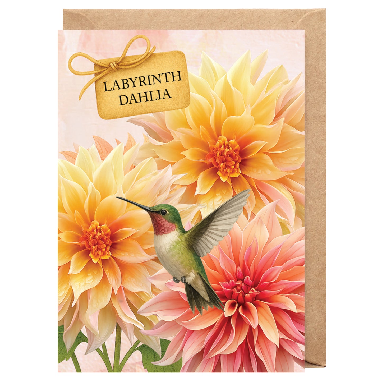 Labyrinth Dahlia