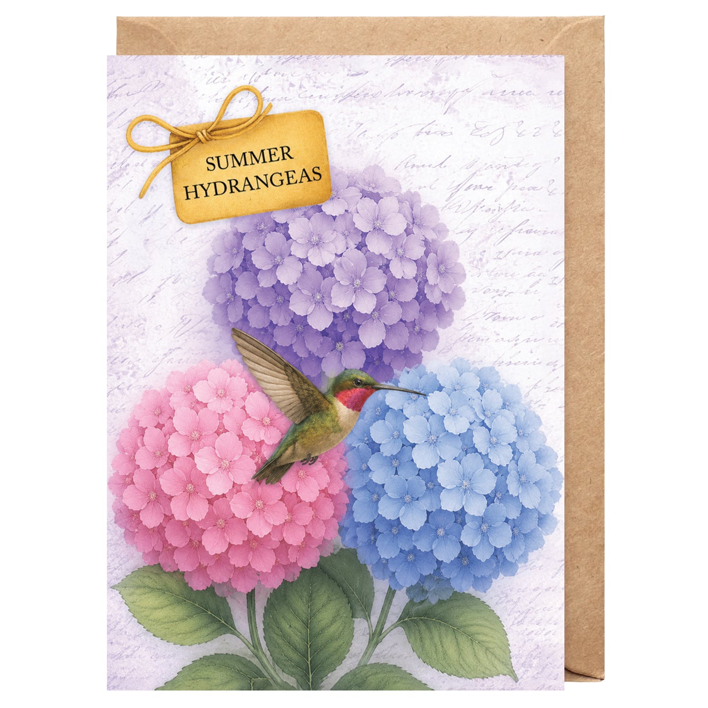 Summer Hydrangeas