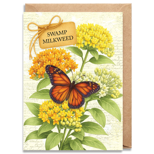 Swamp Milkweed