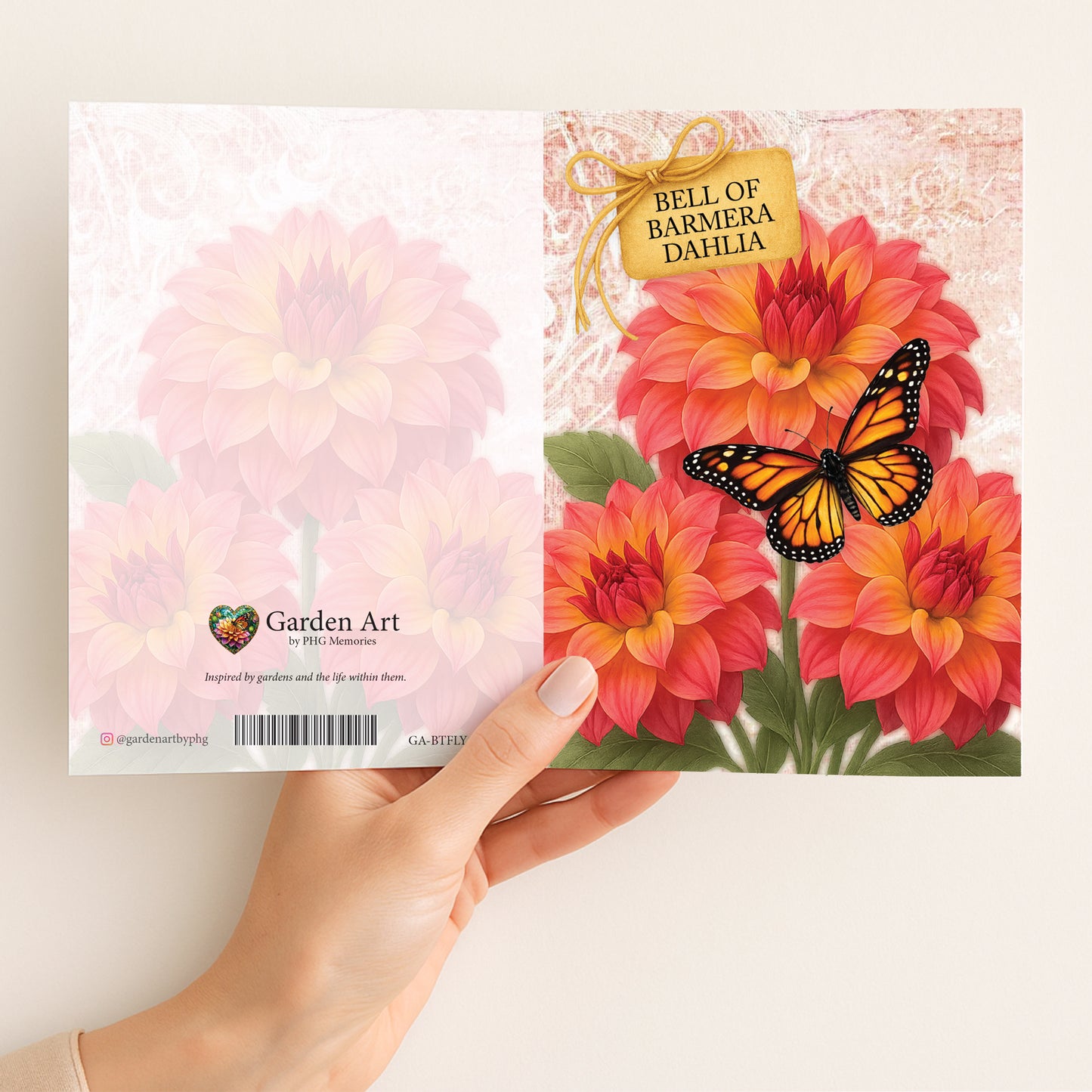 Bell of Barmera Dahlia