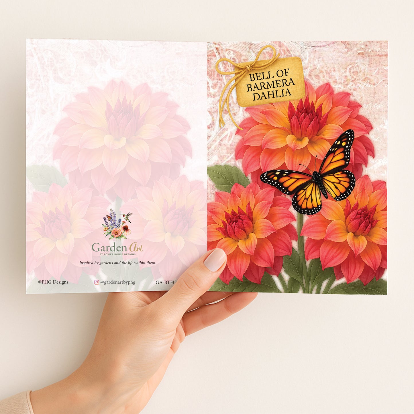 Bell of Barmera Dahlia