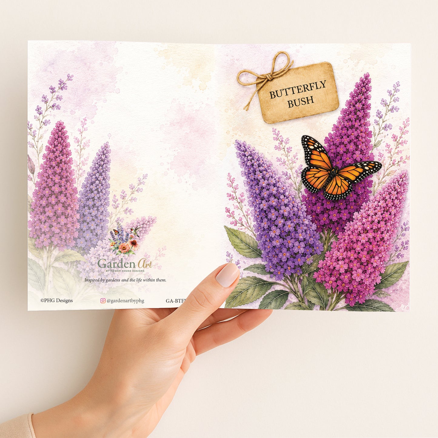 Butterfly Bush