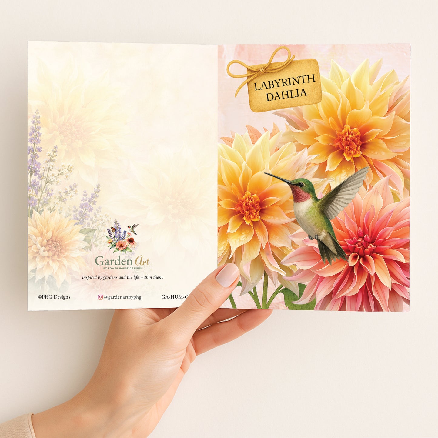Labyrinth Dahlia