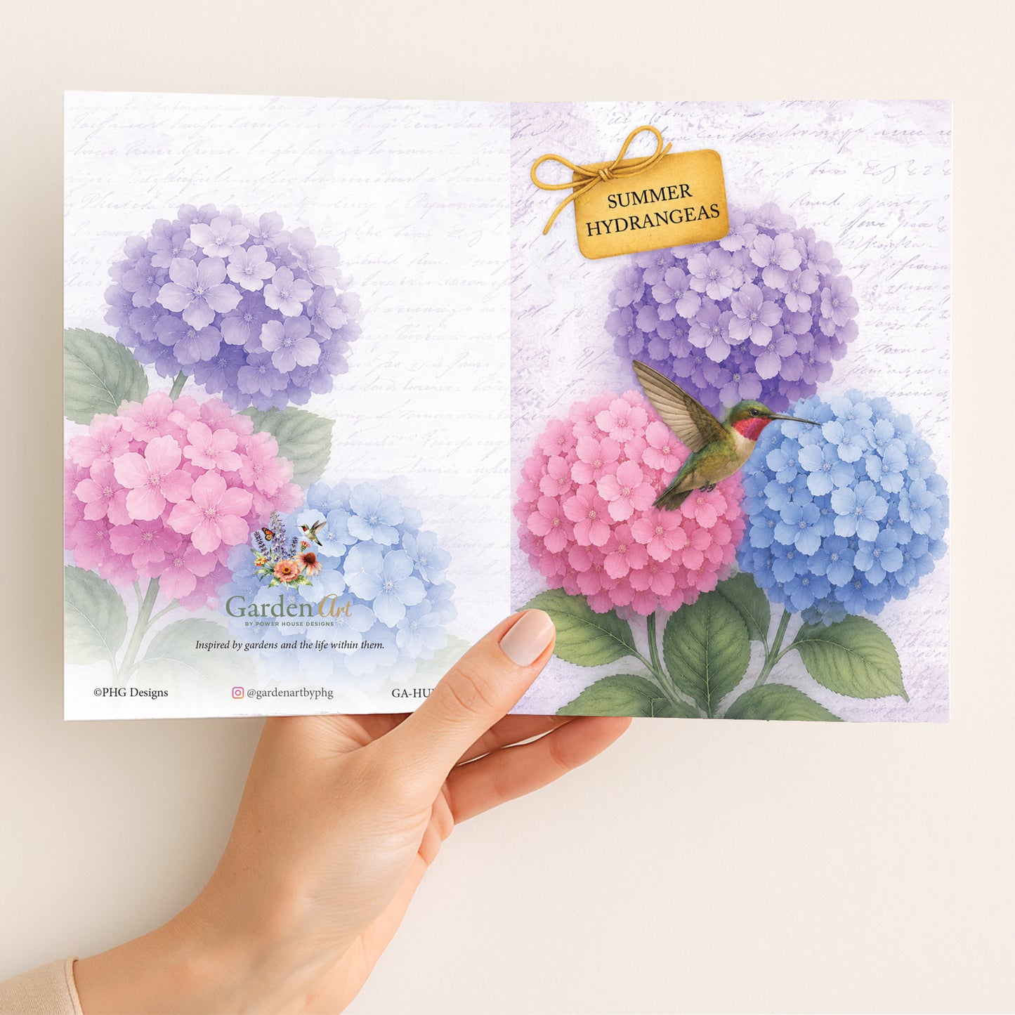 Summer Hydrangeas