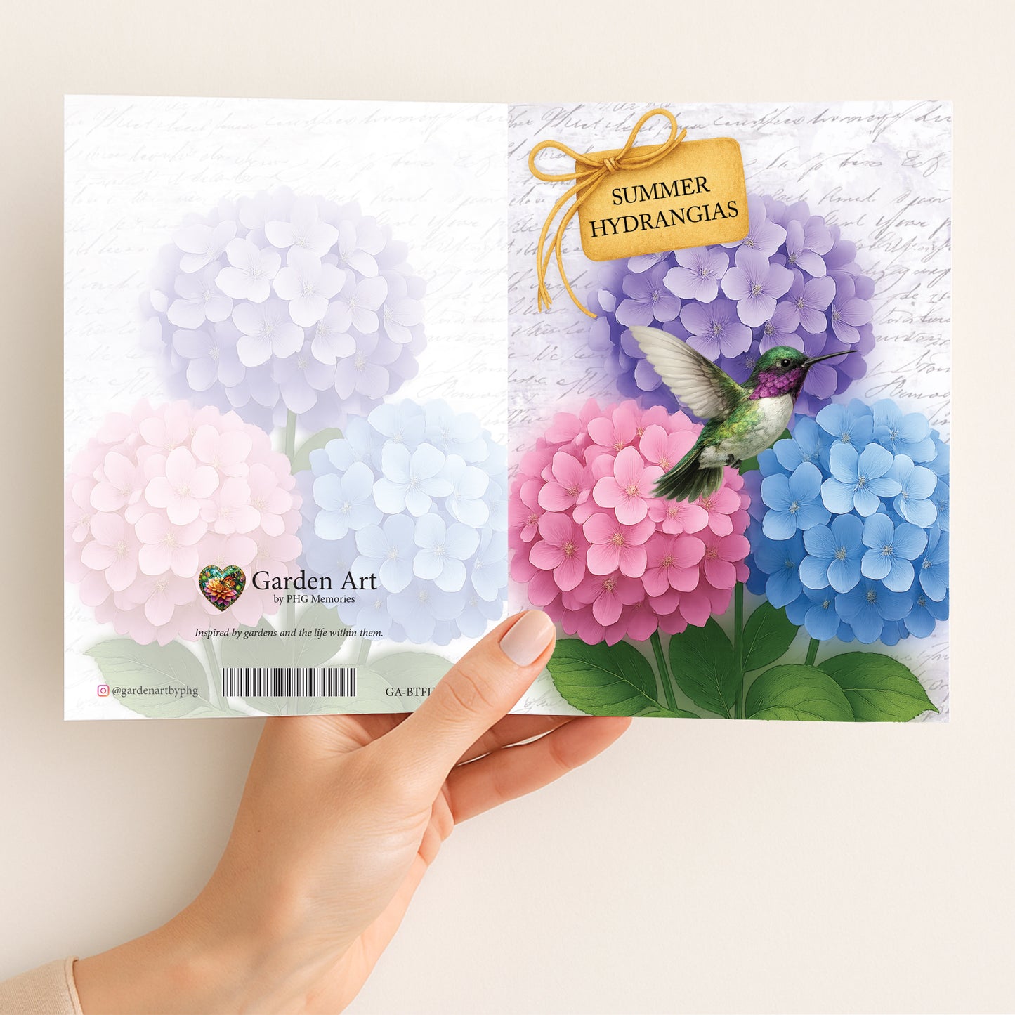 Summer Hydrangeas