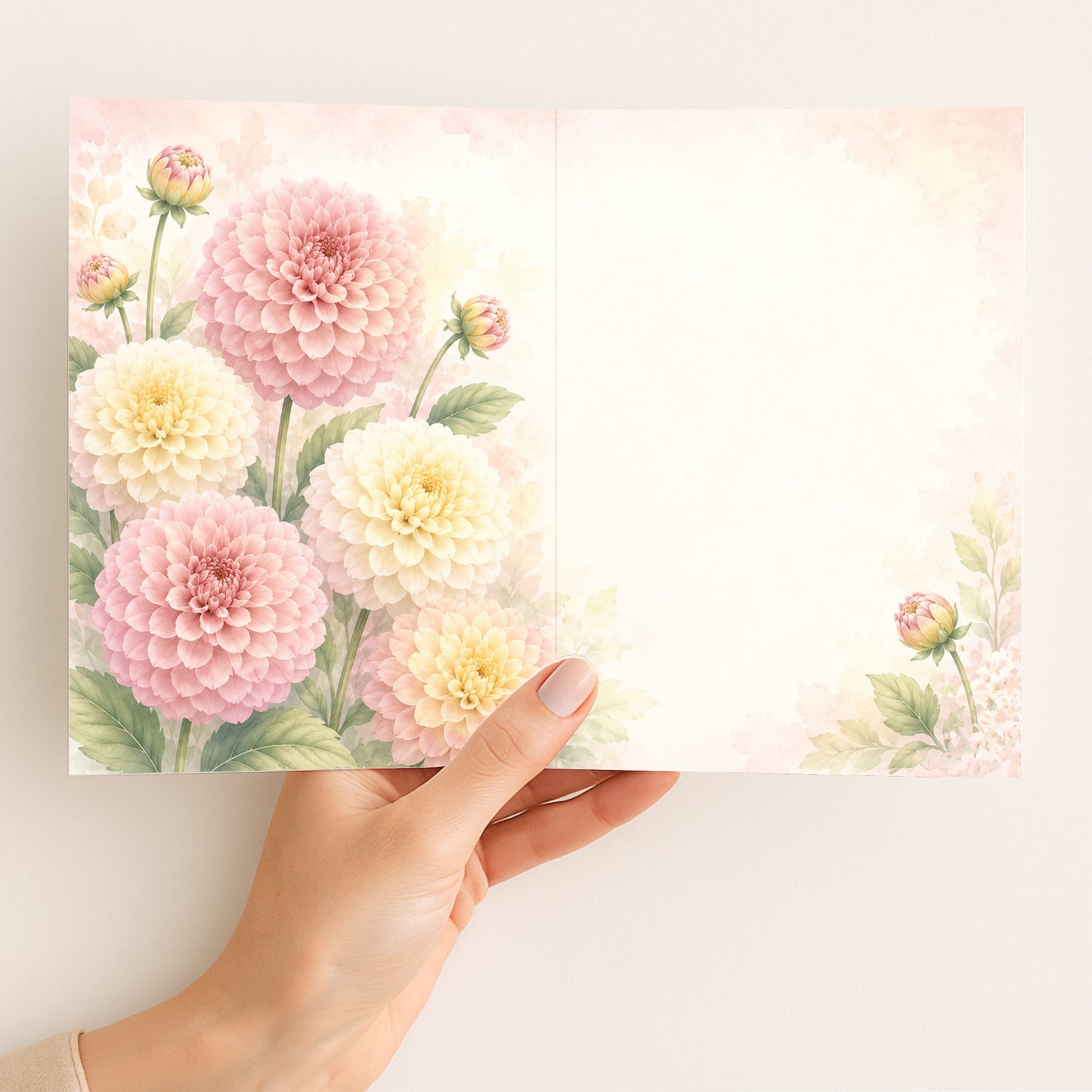 Ball Dahlias