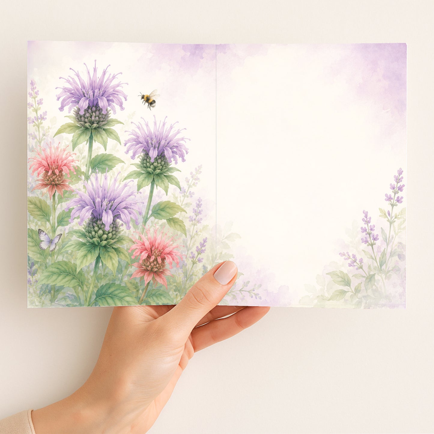 Bee Balm