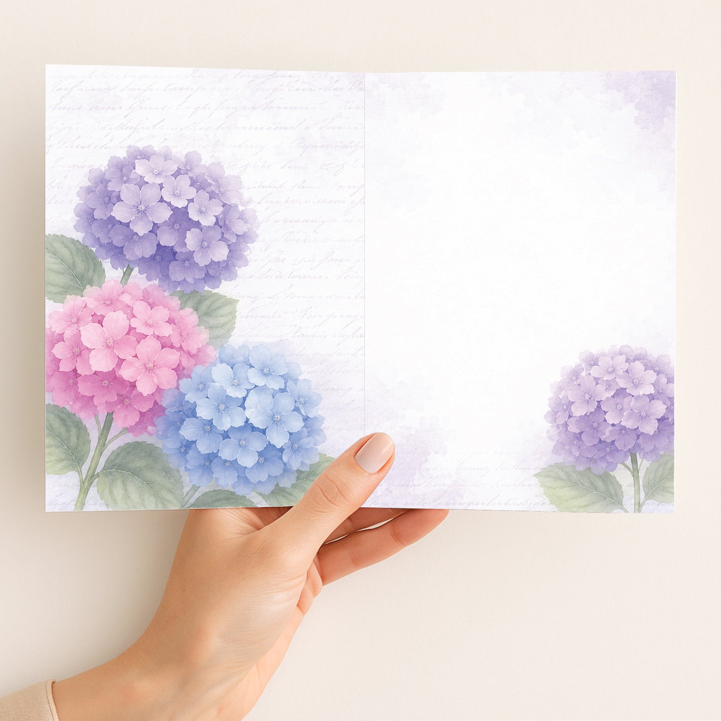 Summer Hydrangeas