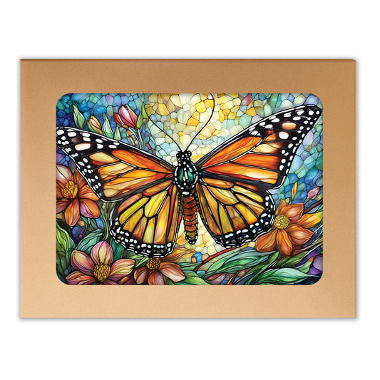 More Butterfly Beauties