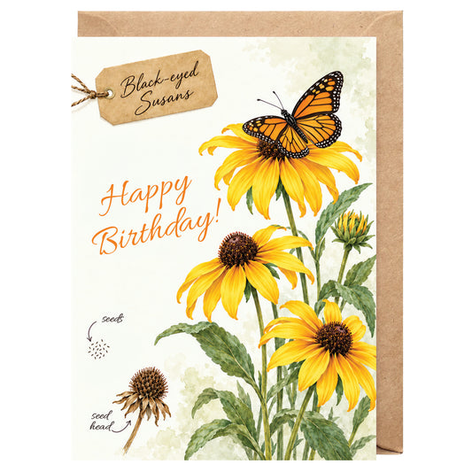 Black-eyed Susans