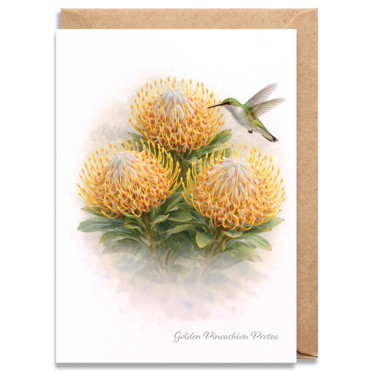 Golden Pincushion Protea Trio Greeting Card