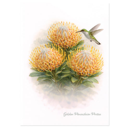 Golden Pincushion Protea Trio Greeting Card