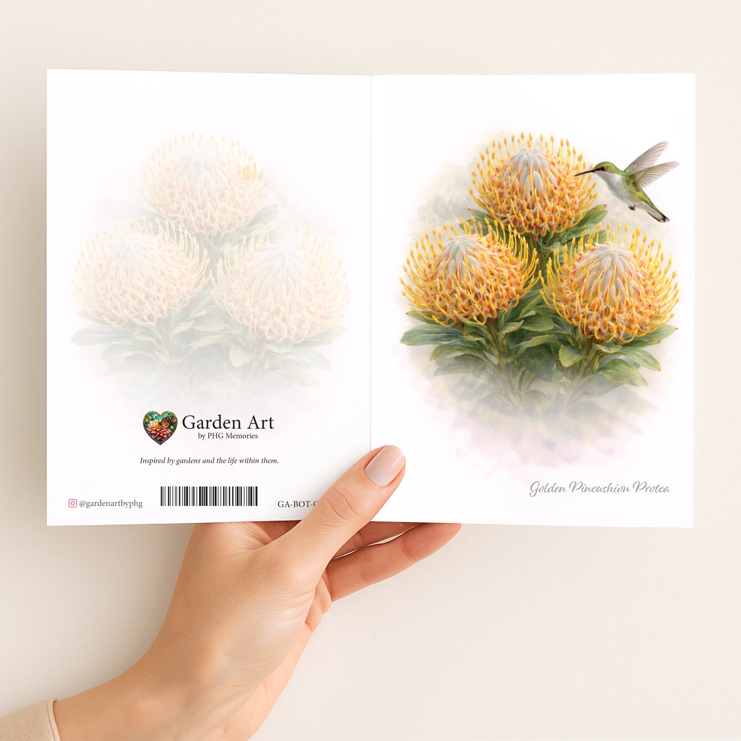 Golden Pincushion Protea Trio Greeting Card