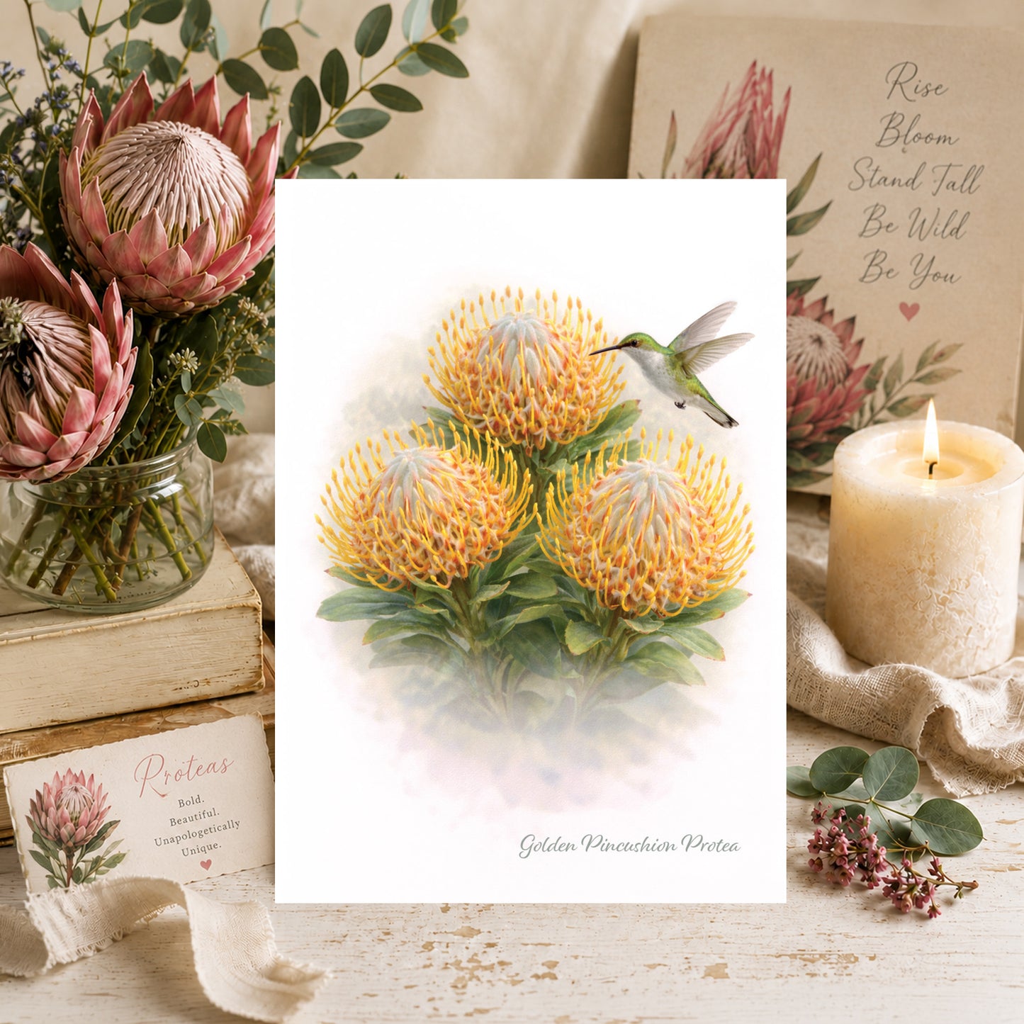 Golden Pincushion Protea Trio
