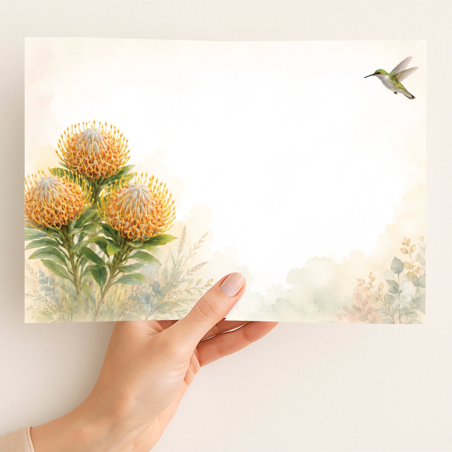 Golden Pincushion Protea Trio
