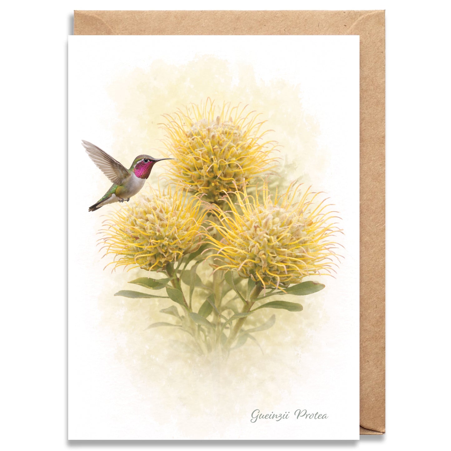 Gueinzii  Protea Greeting Card