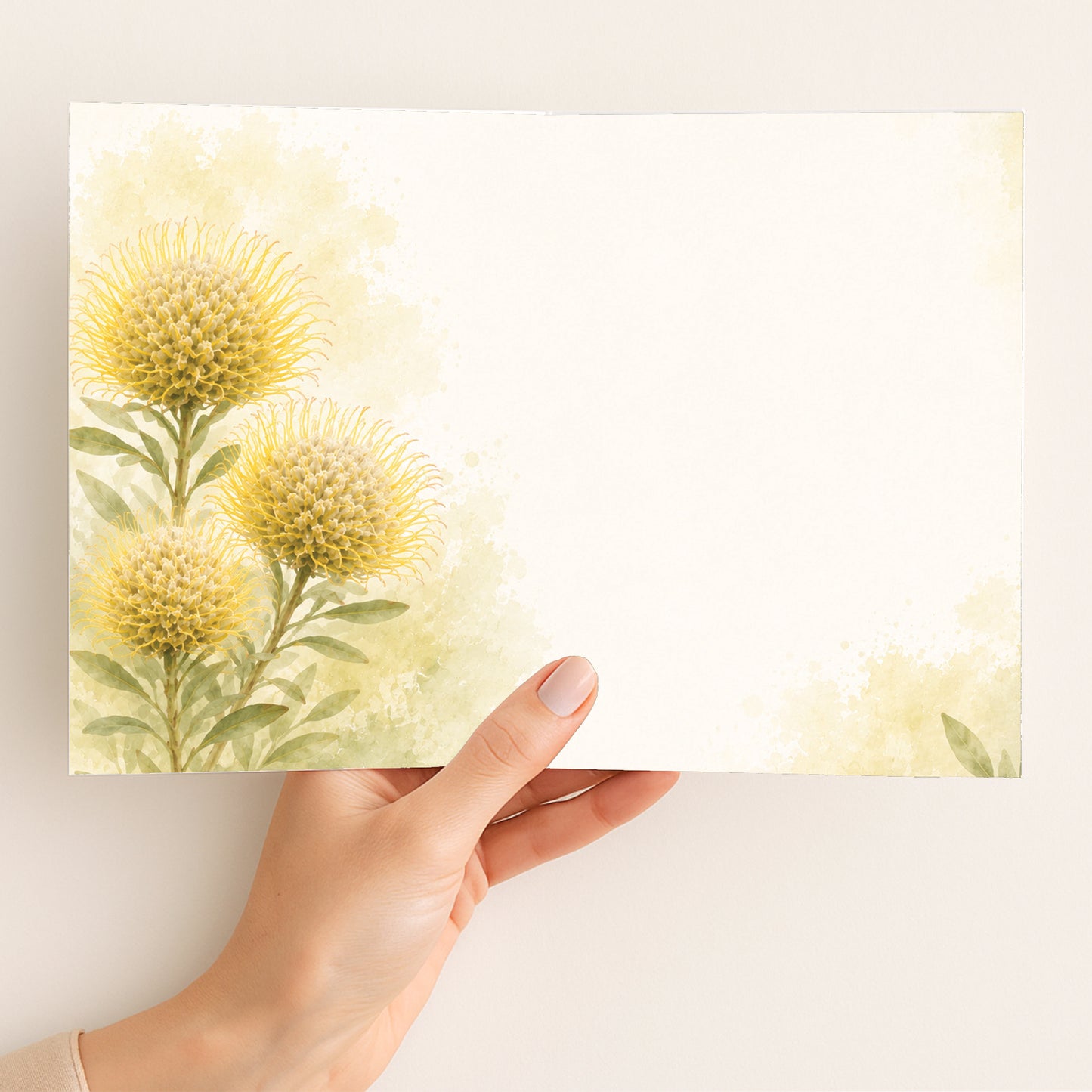 Protea Gift Collection
