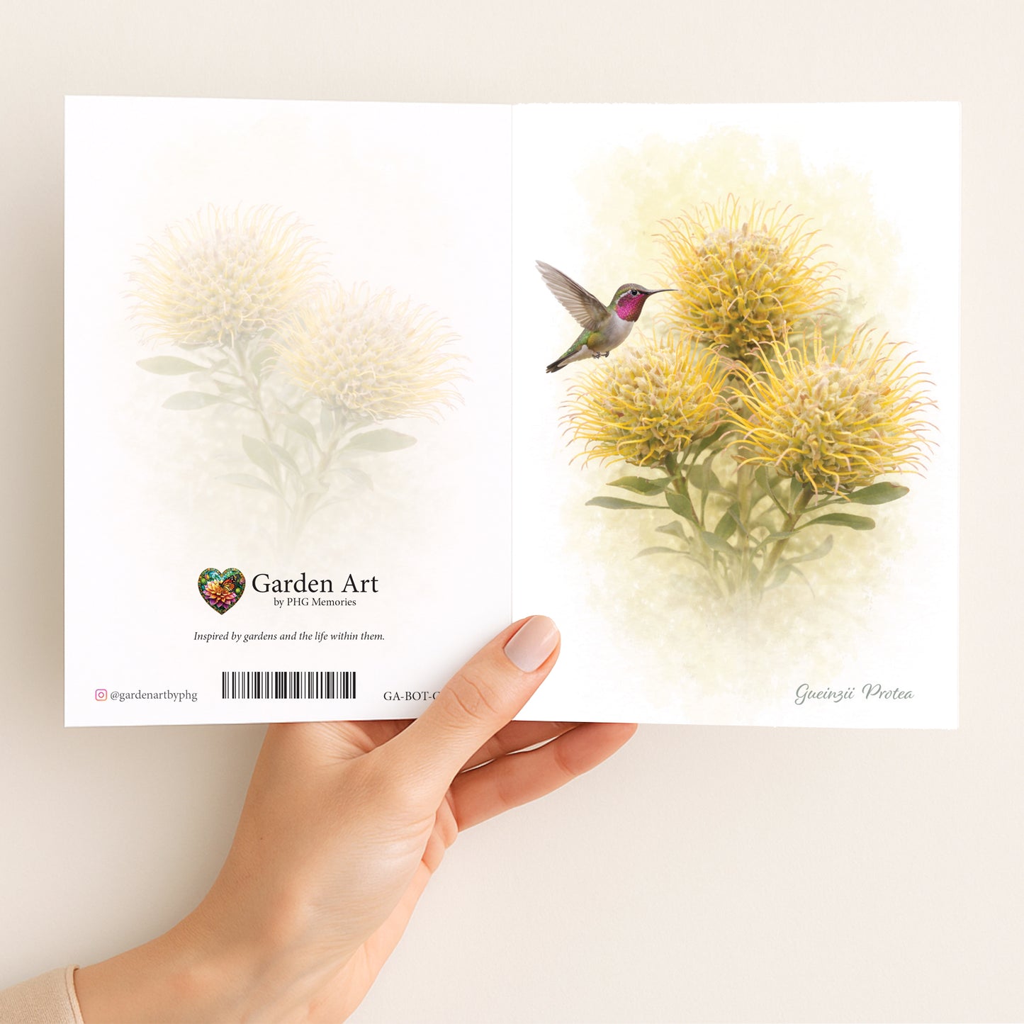 Gueinzii  Protea Greeting Card