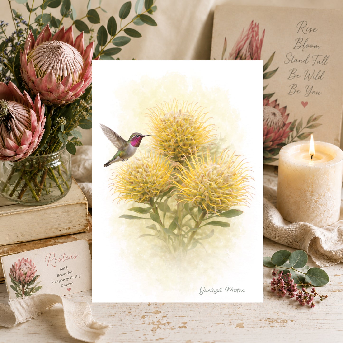 Gueinzii  Protea
