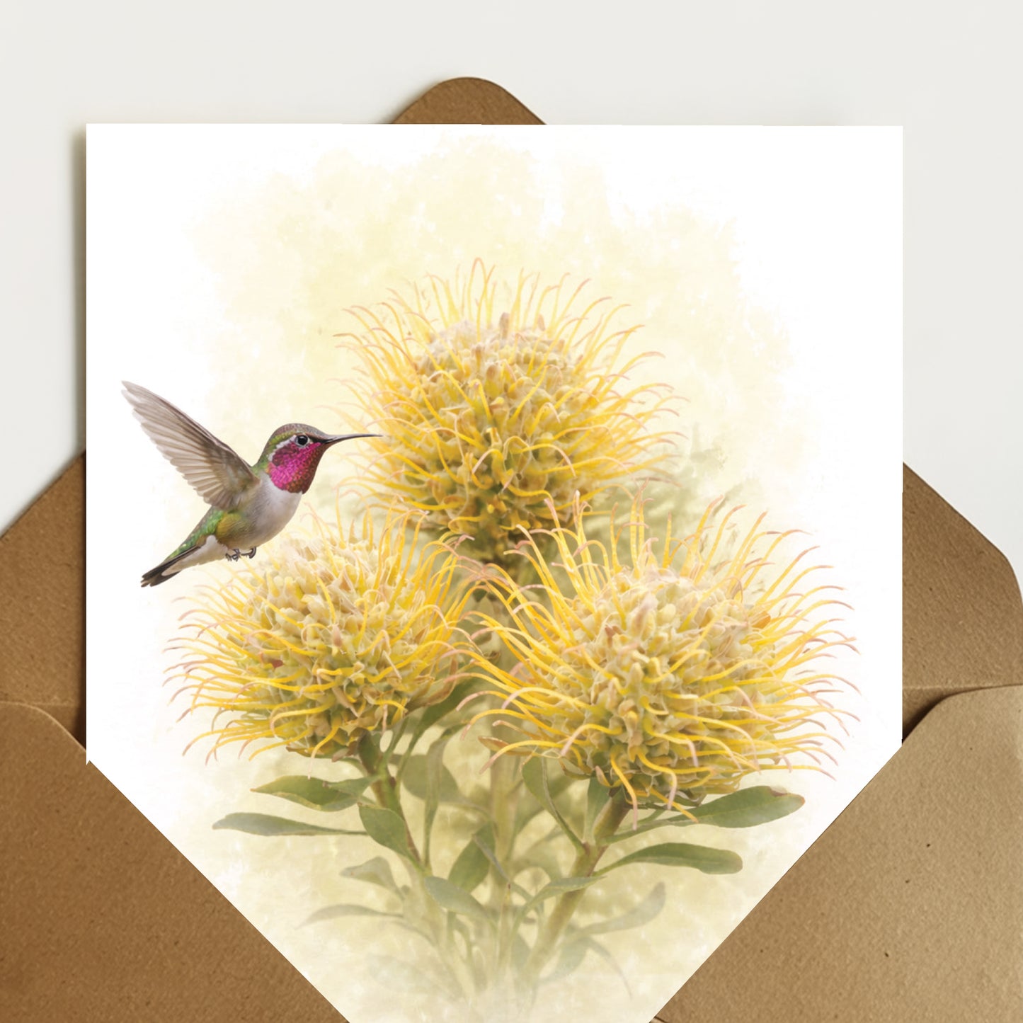 Gueinzii  Protea