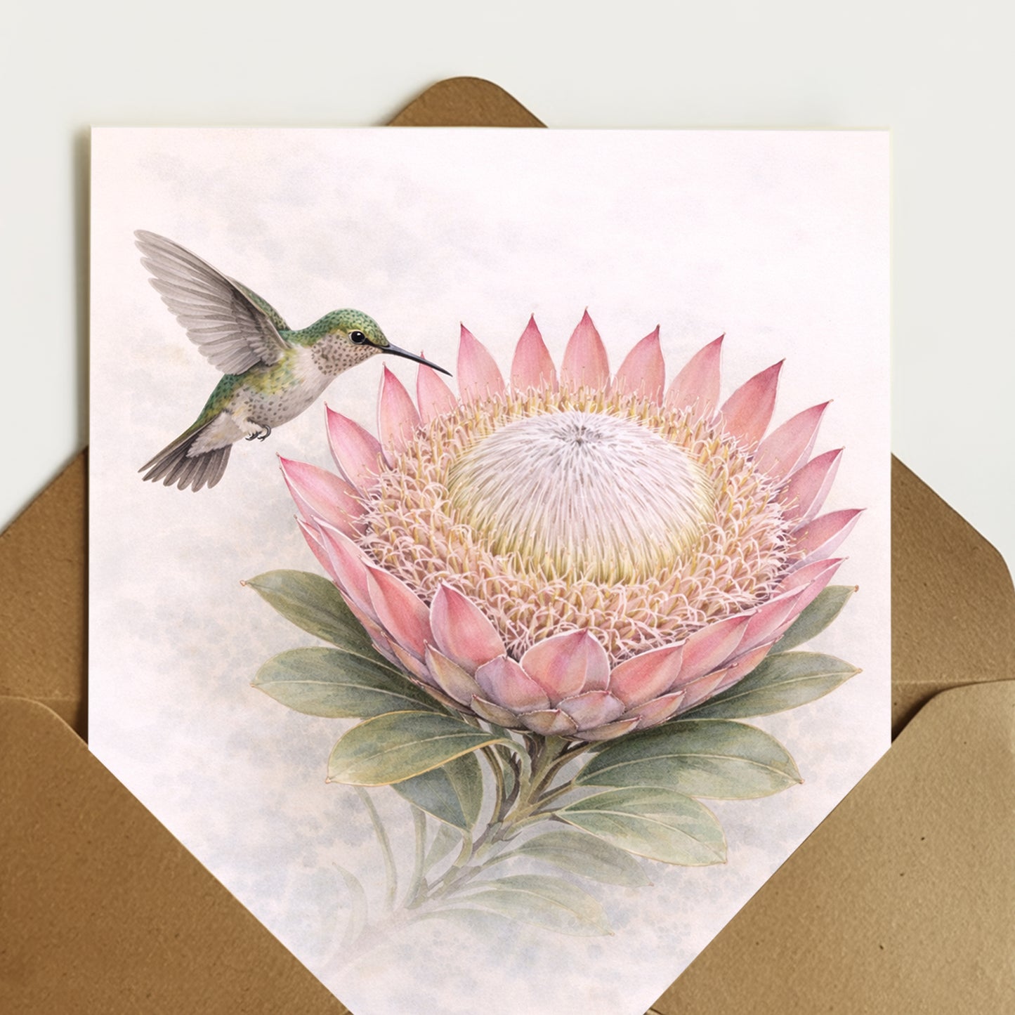 King Protea Annas Hummer Greeting Card