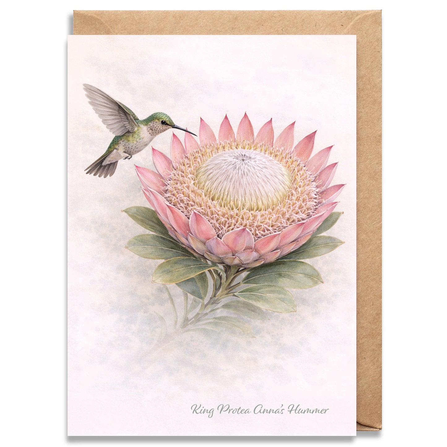 King Protea Annas Hummer Greeting Card