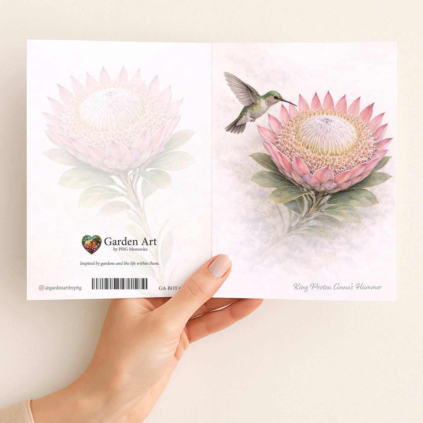King Protea Annas Hummer Greeting Card