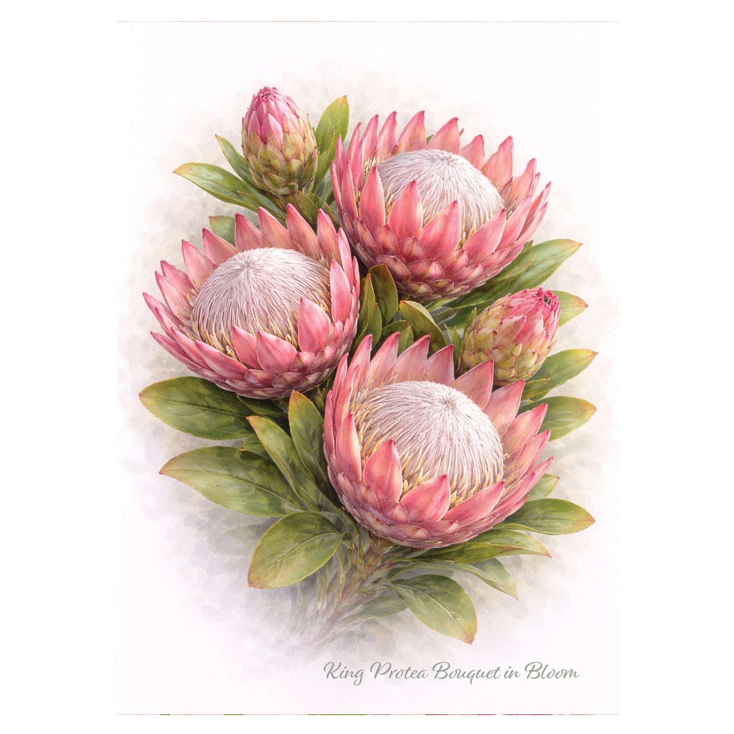 King Protea Bouquet in Bloom Greeting Card