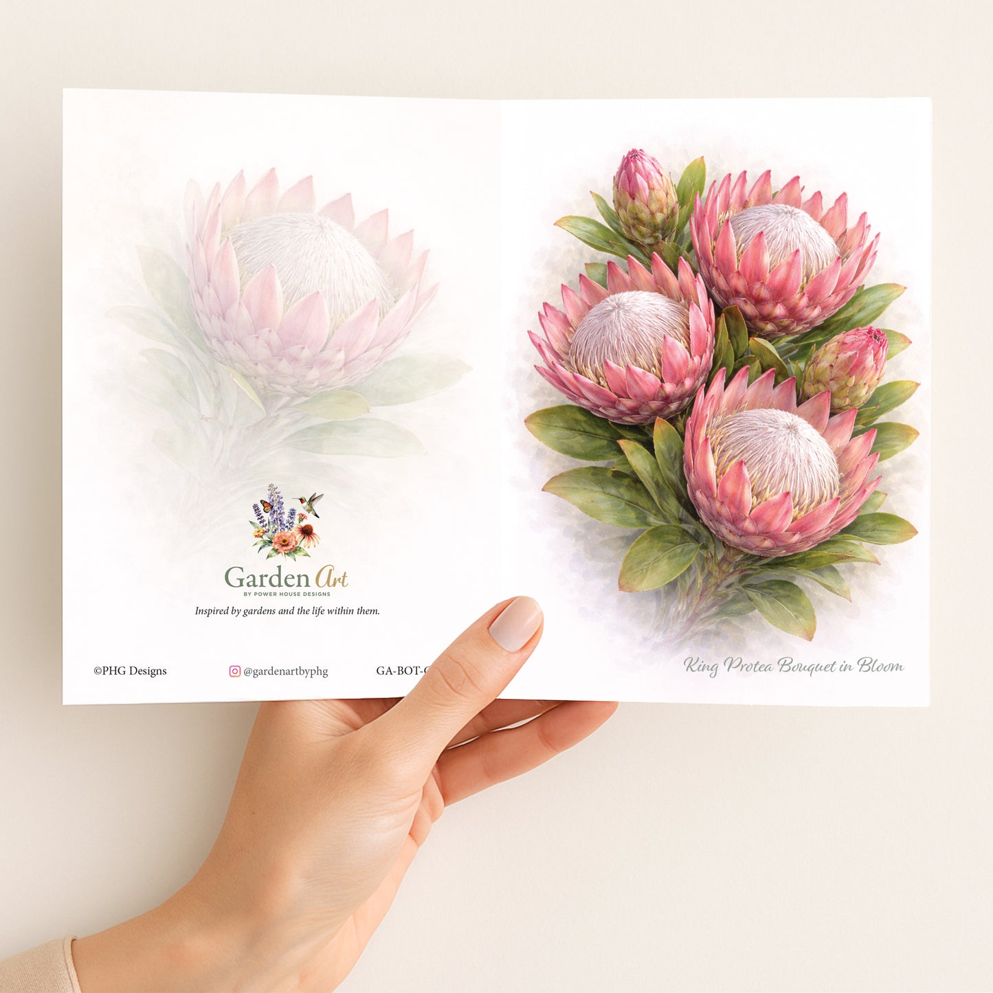 King Protea Bouquet in Bloom