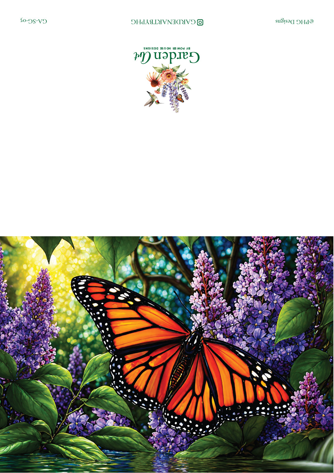 Butterfly Beauties