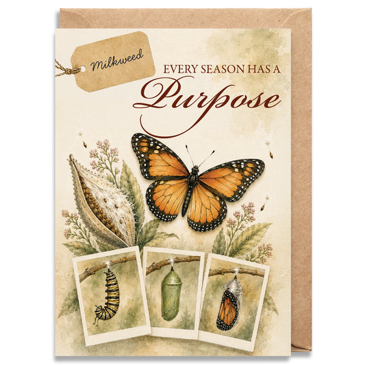 Milkweed
