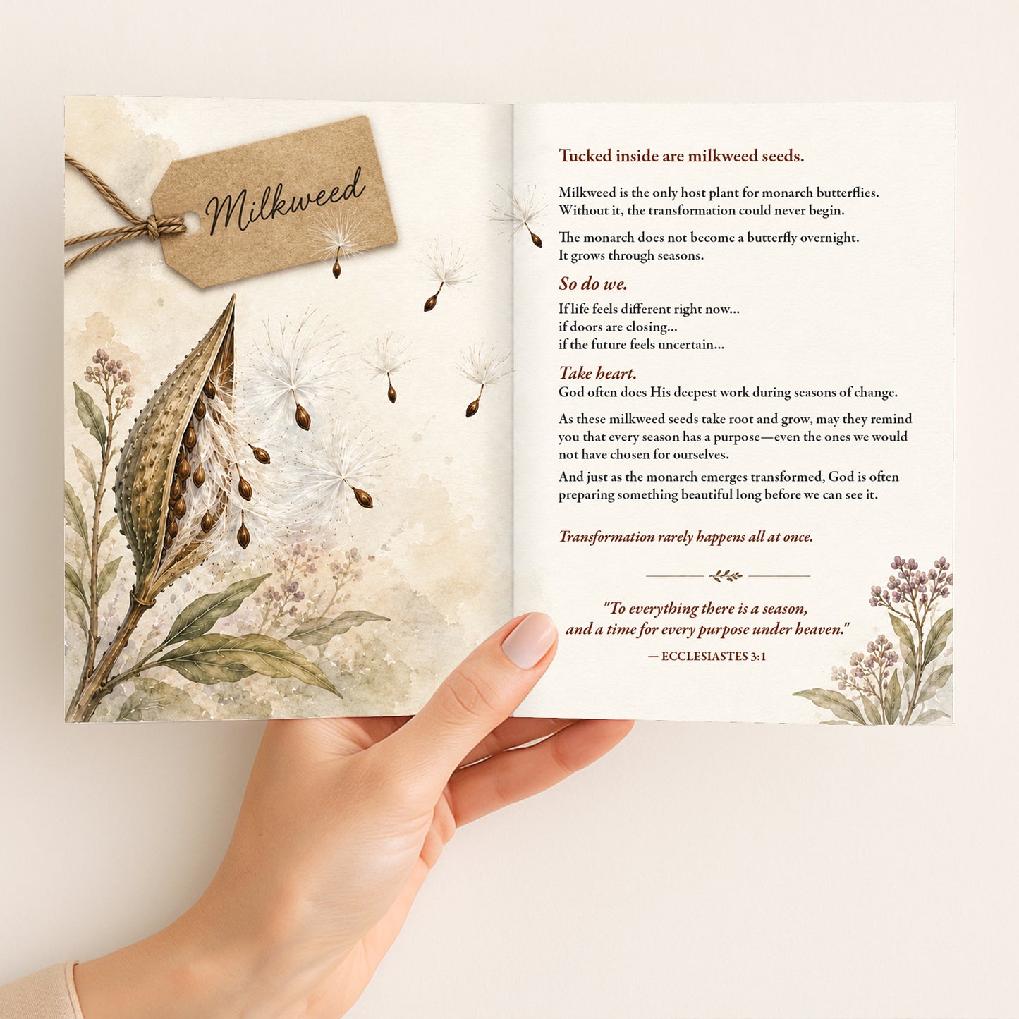 Milkweed