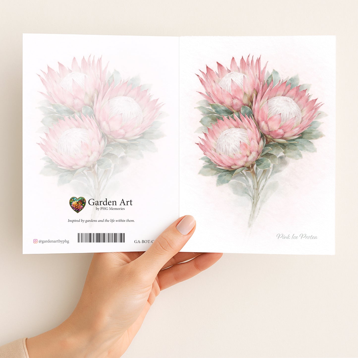 Pink Ice Protea Greeting Card