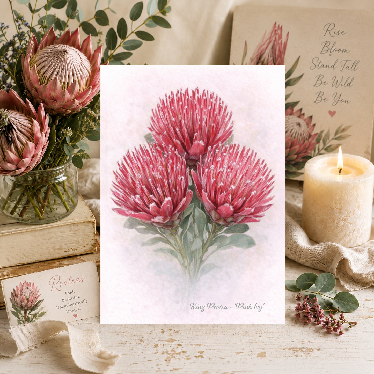 Pink Ivy Protea