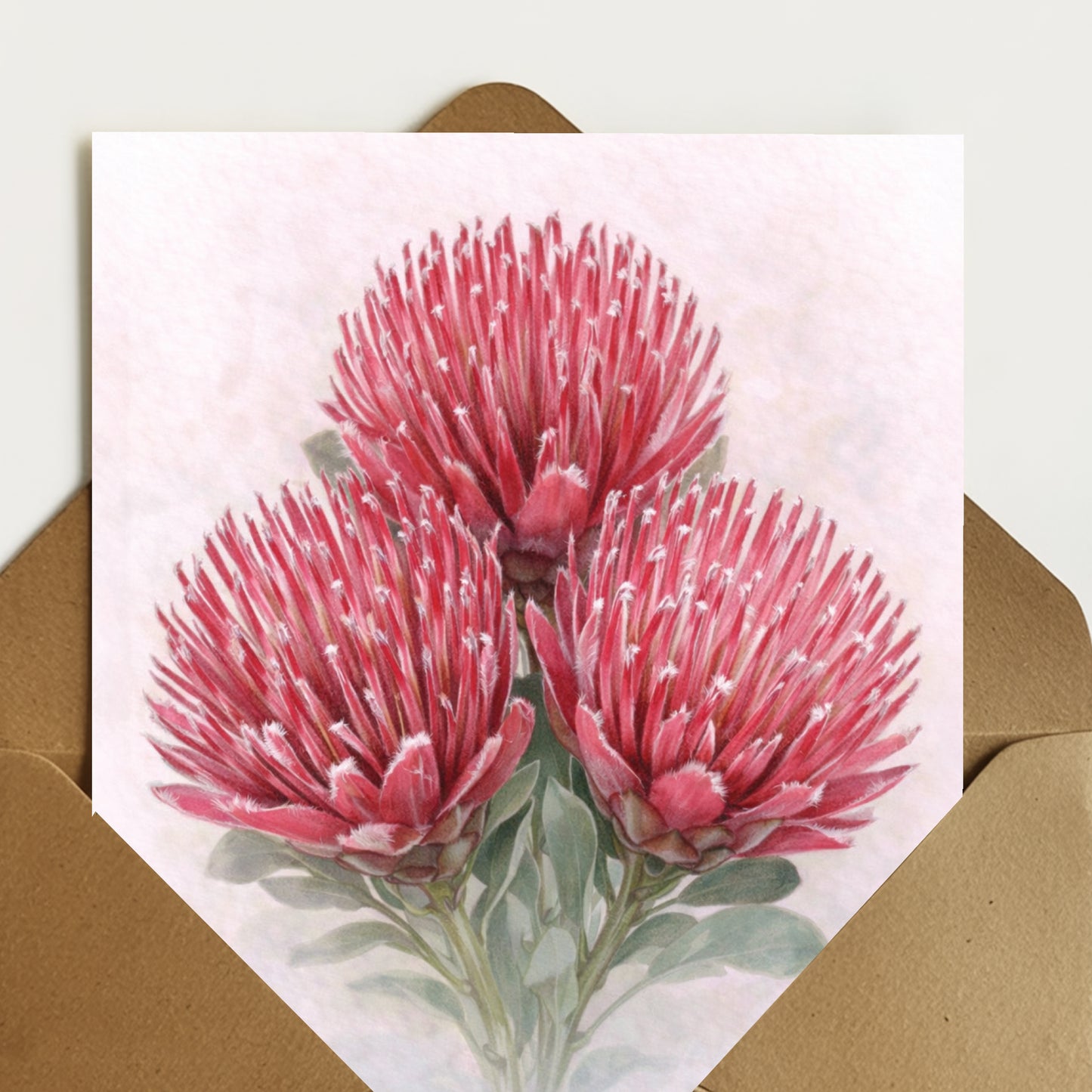 Pink Ivy Protea