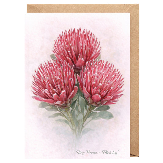 Pink Ivy Protea