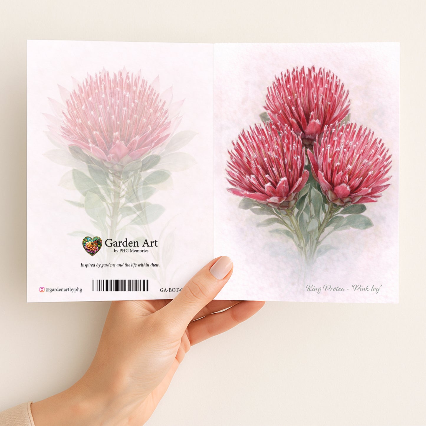 Pink Ivy Protea Greeting Card