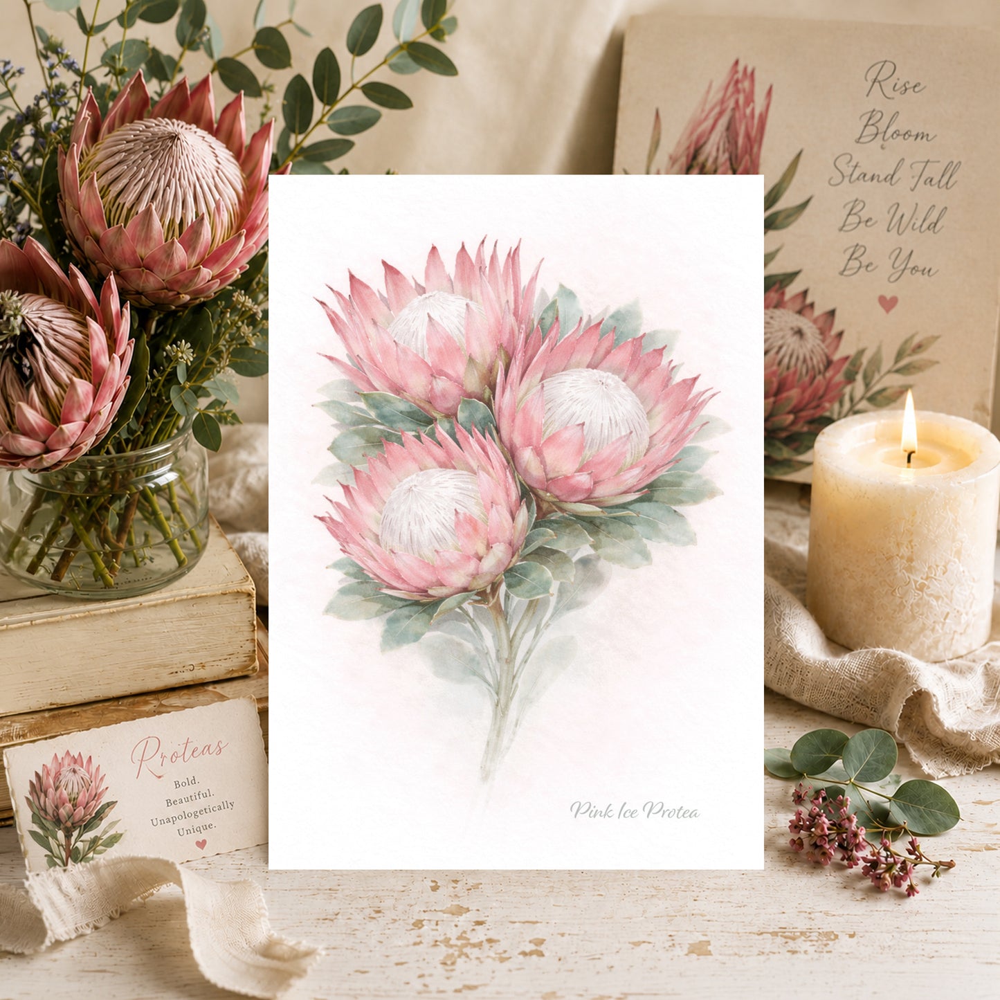 Pink Ice Protea