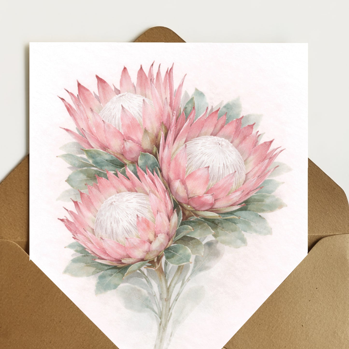 Pink Ice Protea
