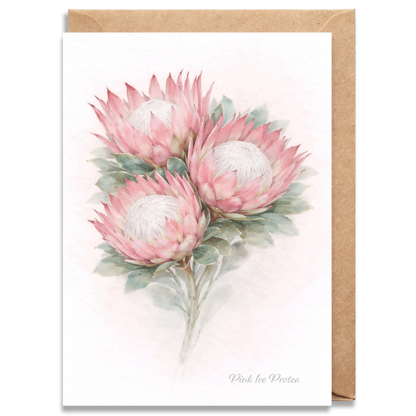 Pink Ice Protea Greeting Card