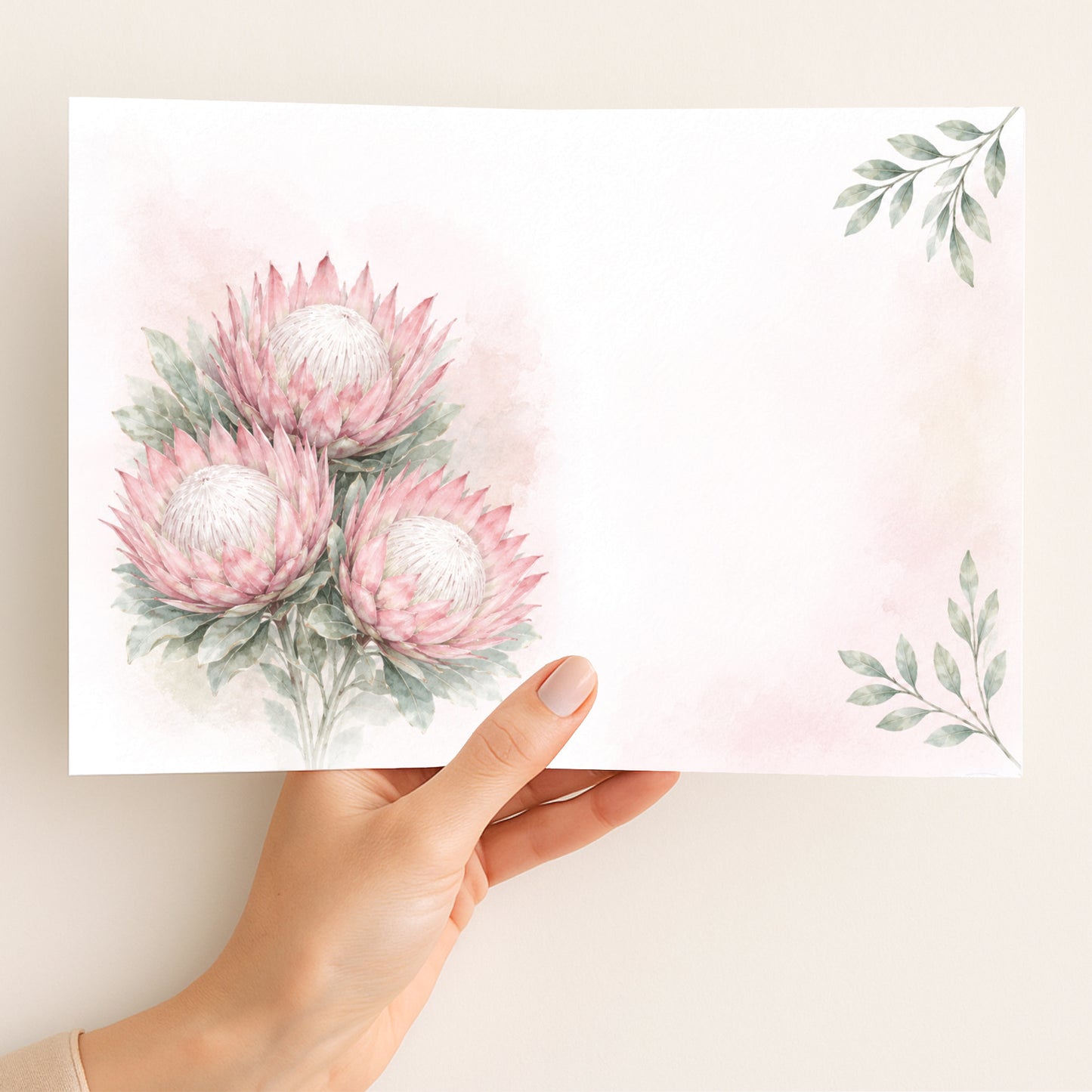 Pink Ice Protea